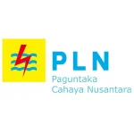 Lowongan kerja Admin AMC PLN PT Paguntaka Cahaya Nusantara banjarmasin terbaru 2024