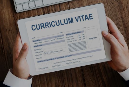 buat cv tanpa pengalaman kerja